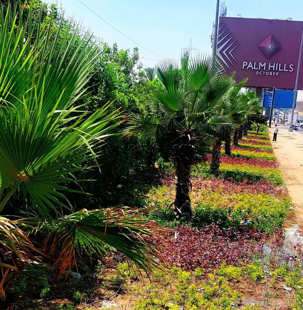 زراعة حديثة